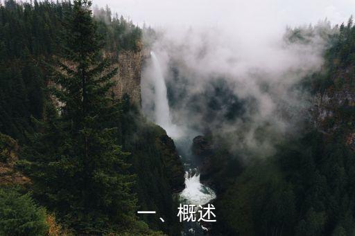 一、概述