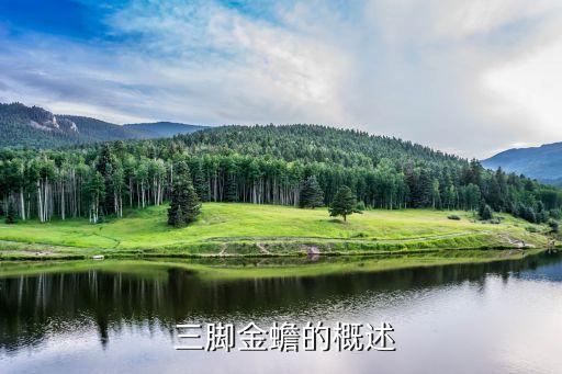 三脚金蟾的概述