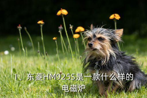 1、东菱HM925S是一款什么样的电磁炉