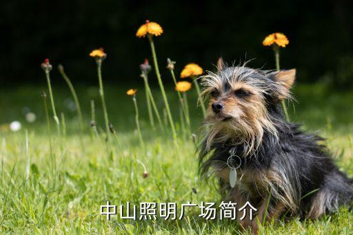 中山照明广场简介