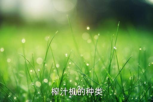 榨汁机的种类