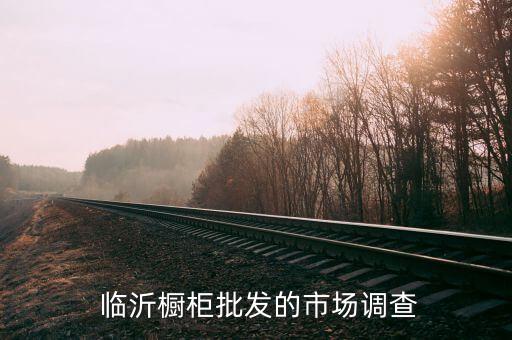 临沂橱柜批发的市场调查