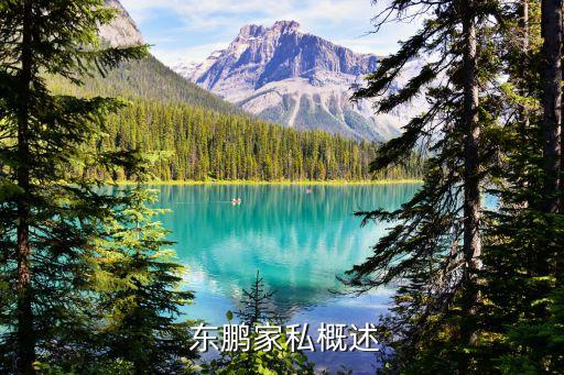 东鹏家私概述