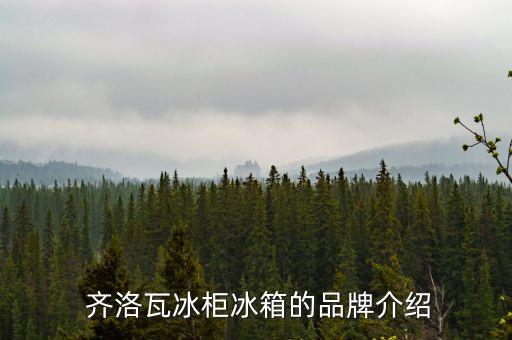 齐洛瓦冰柜冰箱的品牌介绍