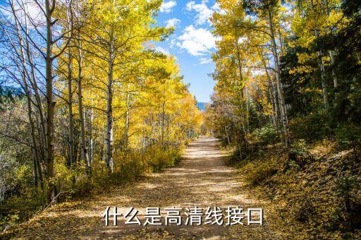 什么是高清线接口