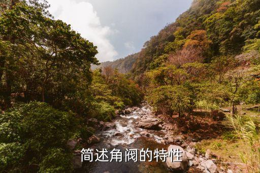 简述角阀的特性