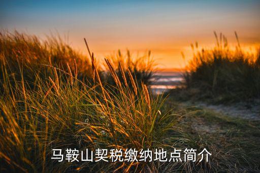 马鞍山契税缴纳地点简介
