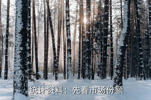 统计资料:先看市场份额