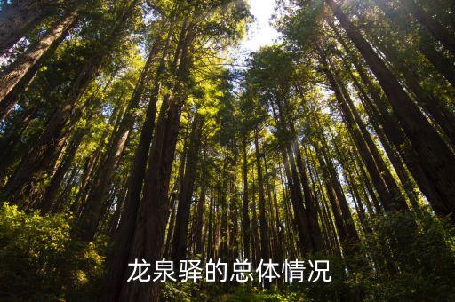 龙泉驿的总体情况