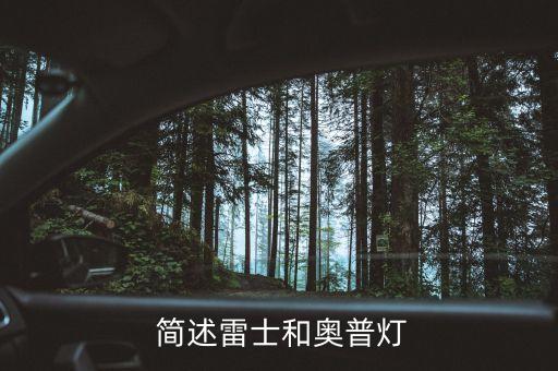 简述雷士和奥普灯