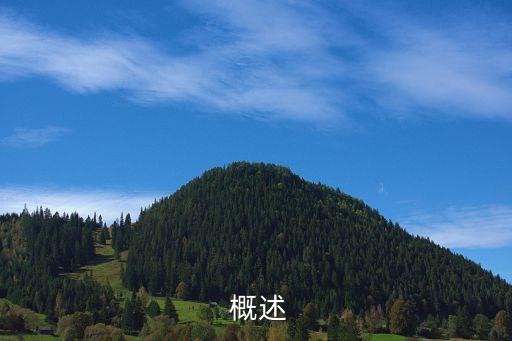 概述