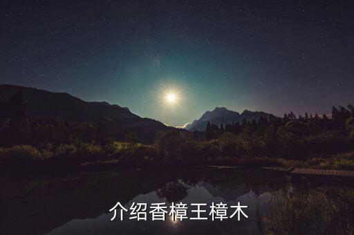 介绍香樟王樟木