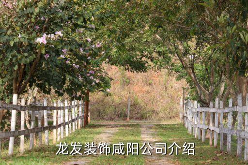 龙发装饰咸阳公司介绍