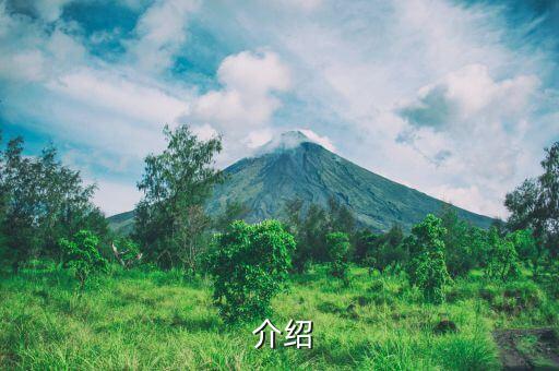 介绍
