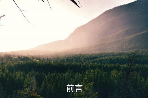 前言