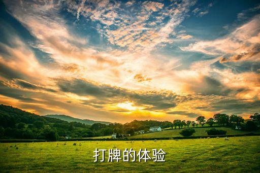 打牌的体验