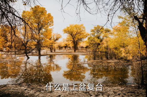 什么是上盆复台