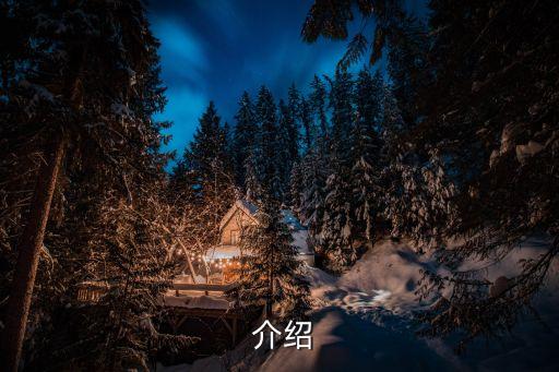 介绍