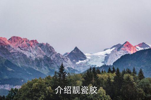 介绍靓瓷胶