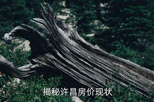 揭秘许昌房价现状