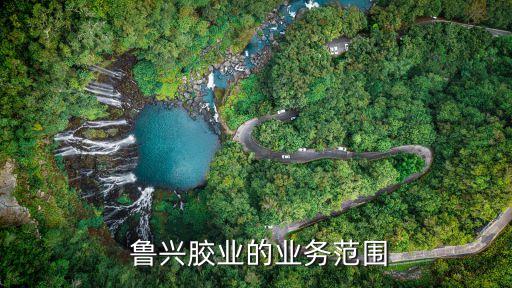 鲁兴胶业的业务范围