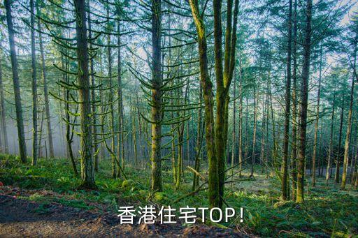 香港住宅TOP!