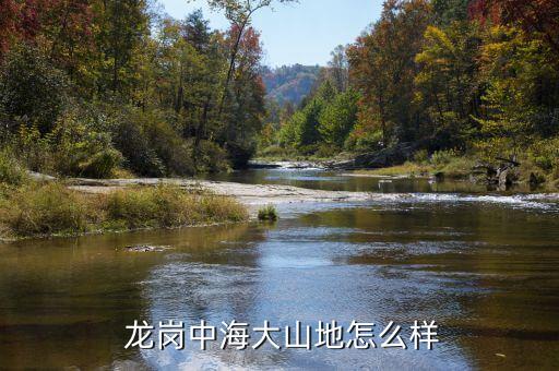 龙岗中海大山地怎么样