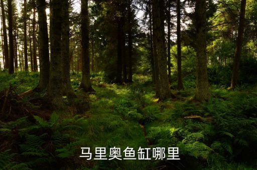 马里奥鱼缸哪里