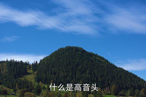 什么是高音头