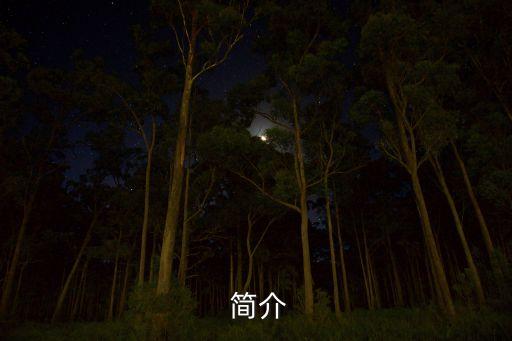 简介