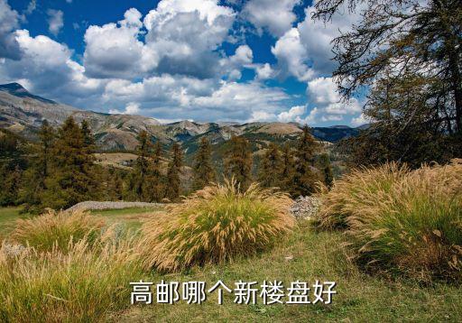 高邮哪个新楼盘好