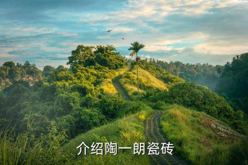 介绍陶一朗瓷砖