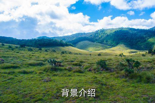 背景介绍