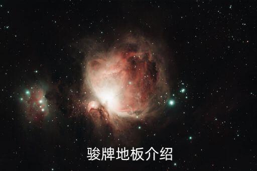 骏牌地板介绍