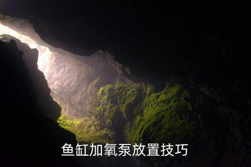 鱼缸加氧泵放置技巧