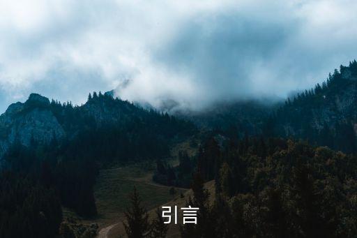 引言