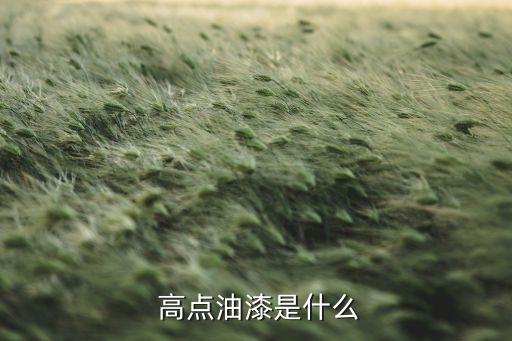 高点油漆是什么