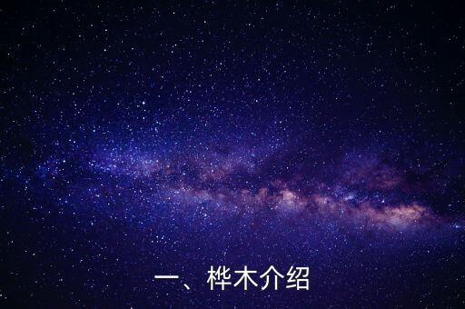 一、桦木介绍