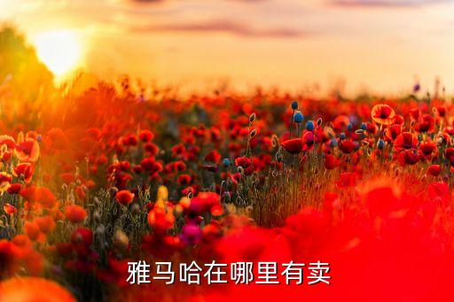雅马哈在哪里有卖