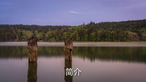 简介