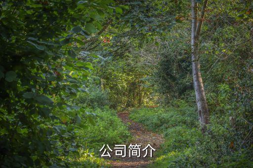公司简介