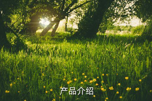 产品介绍