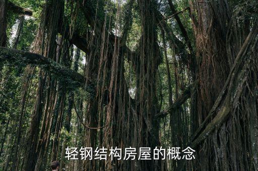 轻钢结构房屋的概念