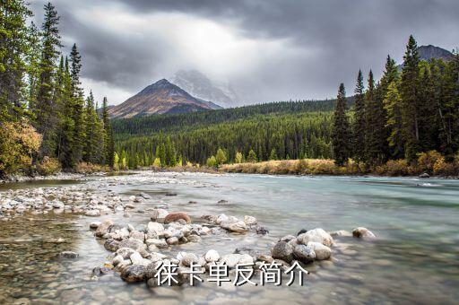 徕卡单反简介