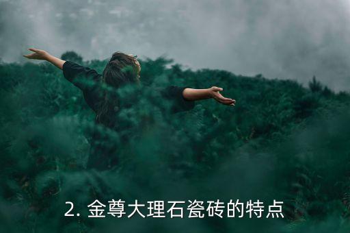 金尊玉大理石瓷砖怎么样,金尊大理石瓷砖的品质与特点