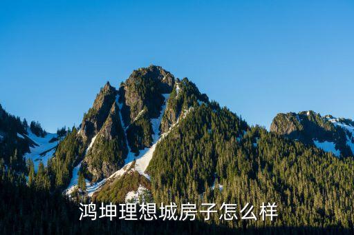 鸿坤理想城房子怎么样