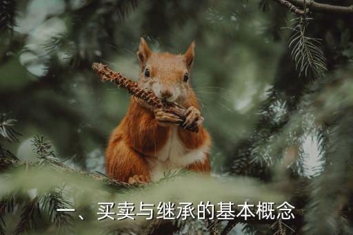 一、买卖与继承的基本概念