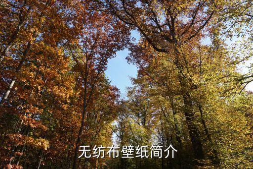 无纺布壁纸简介