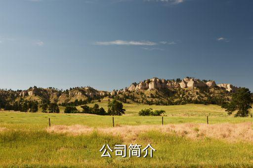 公司简介