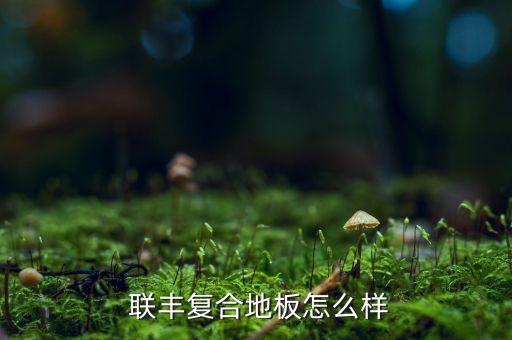 联丰复合地板怎么样